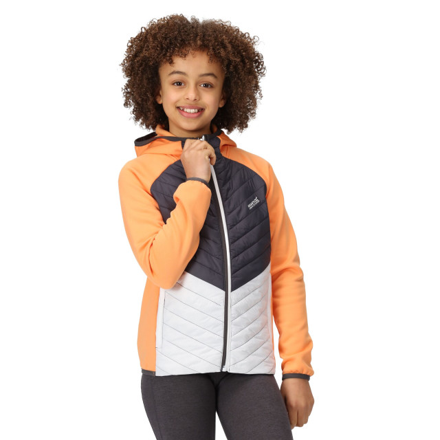 Regatta Kinder/kids kielder hybrid vii gewatteerd jack UTRG9600_apricotcrushsealgrey large