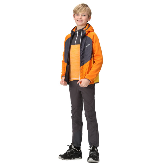 Regatta Kinder/kids kielder hybrid vii gewatteerd jack UTRG9600_orangepeppersealgrey large