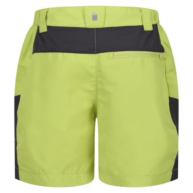 Regatta Kinderen/kinderen sorcer mountain iii korte broek UTRG9499_greenalgaesealgrey large