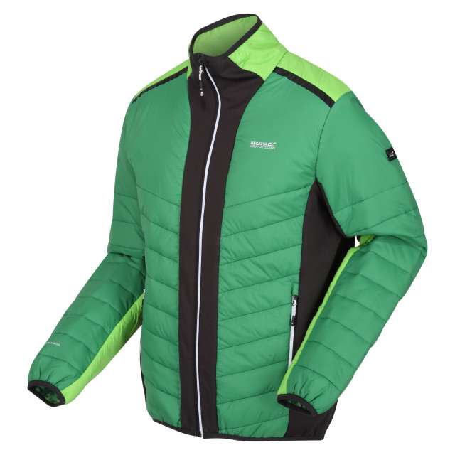 Regatta Heren halton vii contrast paneel gewatteerde jas UTRG9484_fieldgreenjasminegreen large