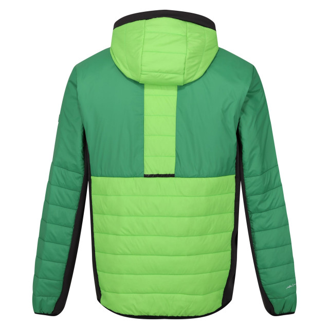 Regatta Heren trutton ii gewatteerd jack UTRG9448_jasminegreenfieldgreen large