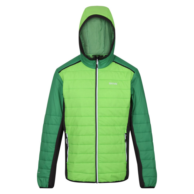 Regatta Heren trutton ii gewatteerd jack UTRG9448_jasminegreenfieldgreen large