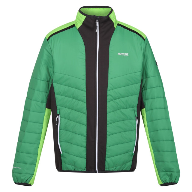 Regatta Heren halton vii contrast paneel gewatteerde jas UTRG9484_fieldgreenjasminegreen large