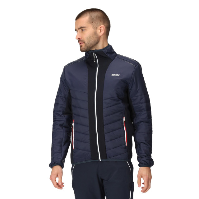 Regatta Heren halton vii contrast paneel gewatteerde jas UTRG9484_navy large