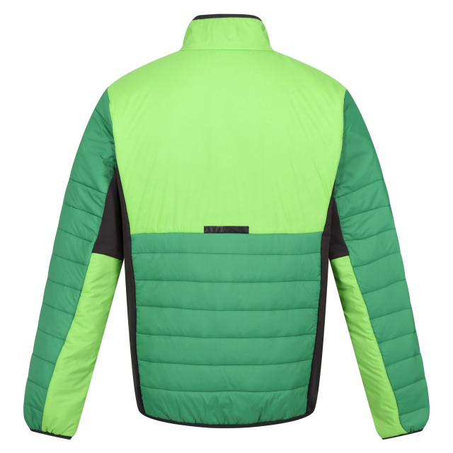 Regatta Heren halton vii contrast paneel gewatteerde jas UTRG9484_fieldgreenjasminegreen large