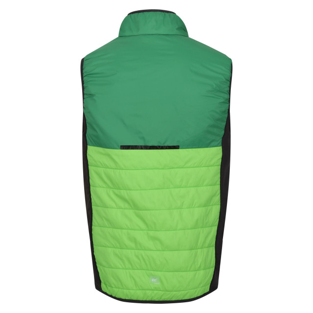 Regatta Heren halton vii gewatteerd gilet UTRG9359_jasminegreenfieldgreen large