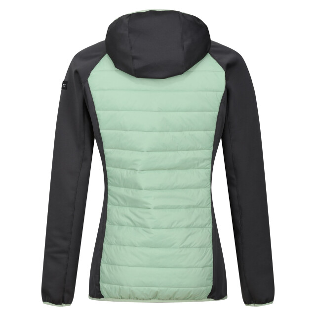 Regatta Dames andreson viii hybride jas UTRG9336_quietgreensealgrey large