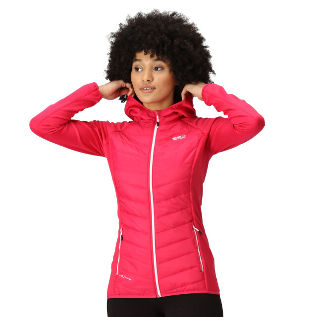 Regatta Dames andreson viii hybride jas UTRG9336_pinkpotion large