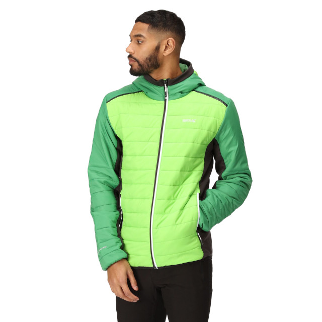 Regatta Heren trutton ii gewatteerd jack UTRG9448_jasminegreenfieldgreen large