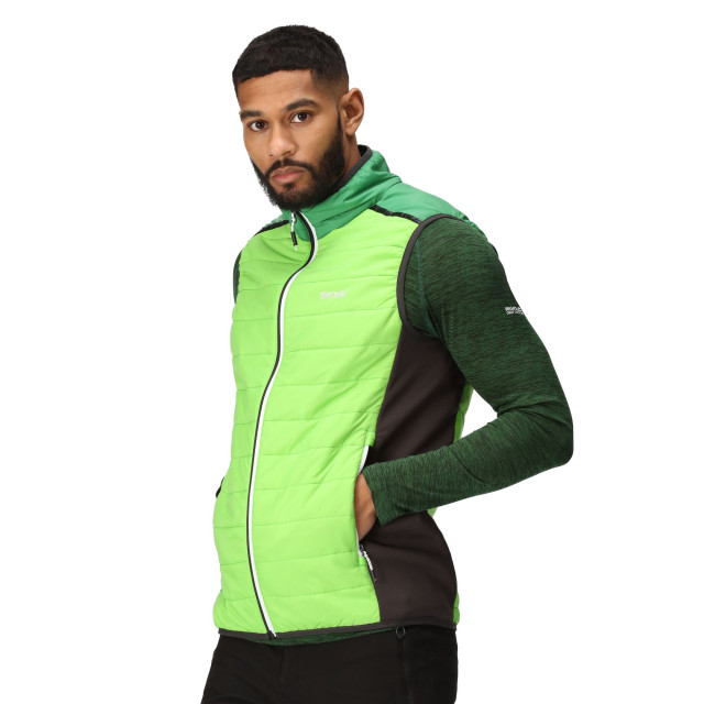 Regatta Heren halton vii gewatteerd gilet UTRG9359_jasminegreenfieldgreen large