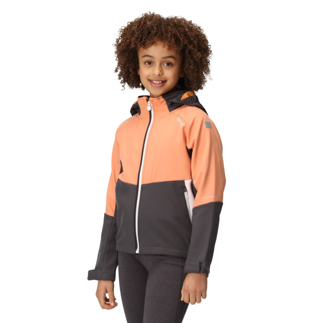 Regatta Kinder/kids haydenbury soft shell jas UTRG9090_sealgreyapricotcrush large