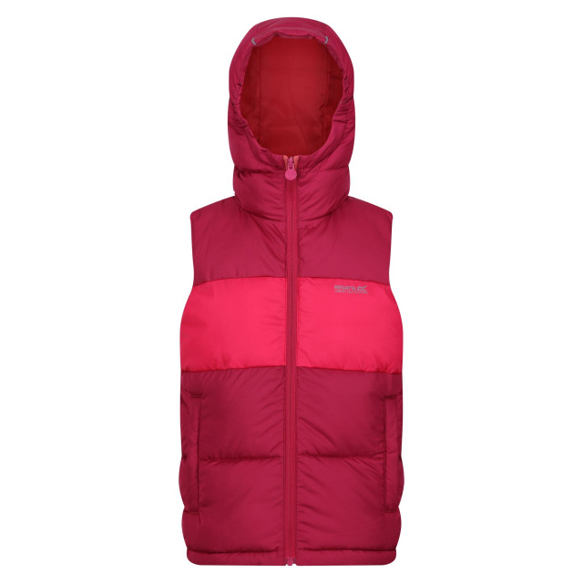 Regatta Kinder/kinder lofthouse zwaargewicht bodywarmer UTRG9088_berrypinkpinkpotion large