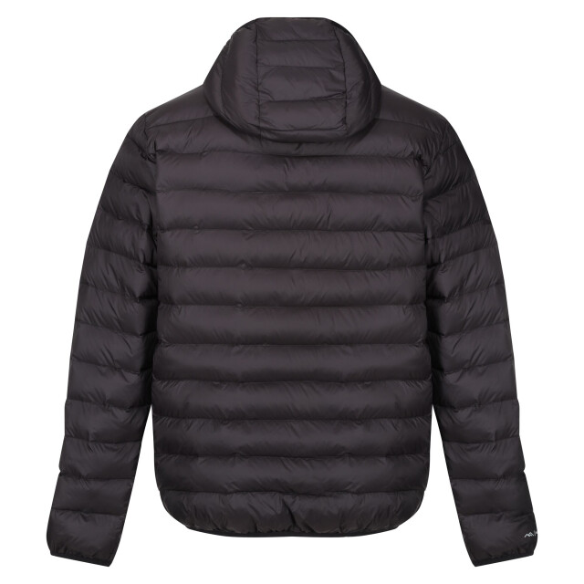 Regatta Heren marizion gewatteerde jas met capuchon UTRG9069_black large