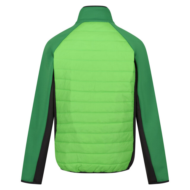 Regatta Heren clumber iv full zip hybride jas UTRG9074_jasminegreenfieldgreen large