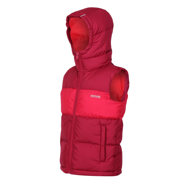 Regatta Kinder/kinder lofthouse zwaargewicht bodywarmer UTRG9088_berrypinkpinkpotion large