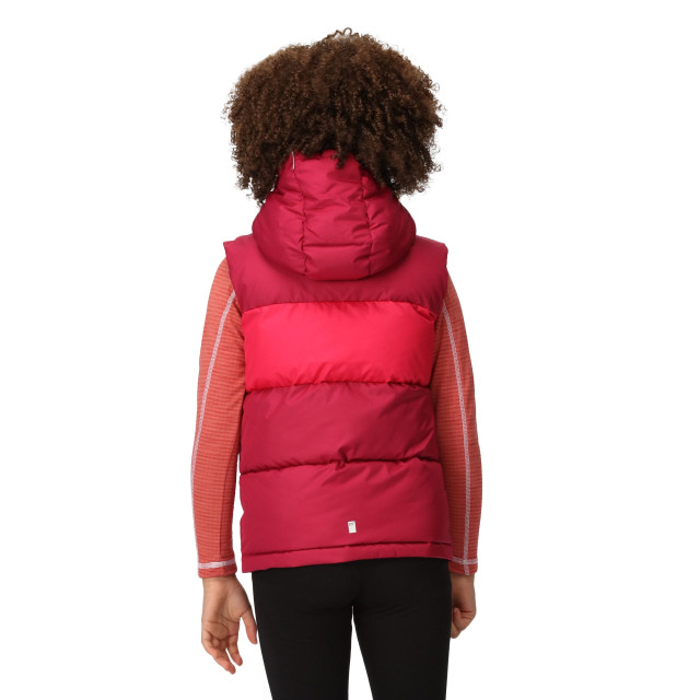 Regatta Kinder/kinder lofthouse zwaargewicht bodywarmer UTRG9088_berrypinkpinkpotion large