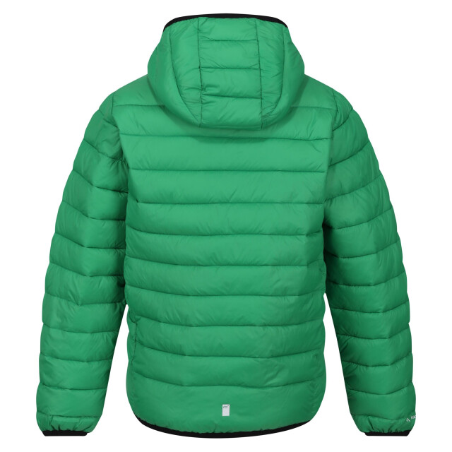 Regatta Marizion gewatteerde jas met capuchon voor kinderen/kinderen UTRG9018_fieldgreenjasminegreen large