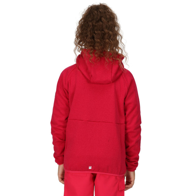 Regatta Maxwell ii lichtgewicht fleecejack voor kinderen/kinderen UTRG8890_pinkpotion large