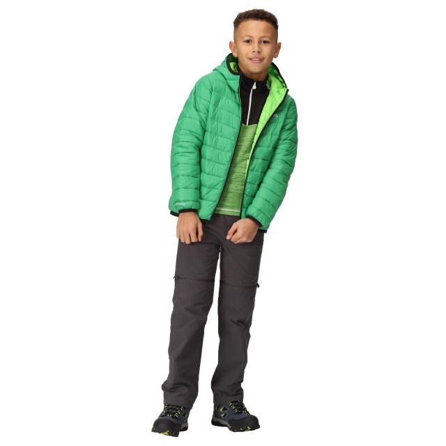 Regatta Marizion gewatteerde jas met capuchon voor kinderen/kinderen UTRG9018_fieldgreenjasminegreen large