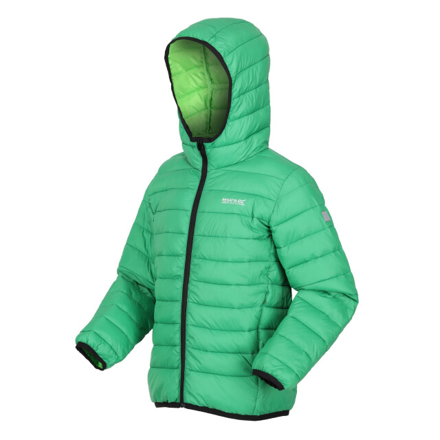 Regatta Marizion gewatteerde jas met capuchon voor kinderen/kinderen UTRG9018_fieldgreenjasminegreen large