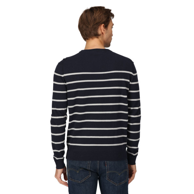 Regatta Heren cautley gestreepte gebreide trui UTRG8856_navysilvergrey large