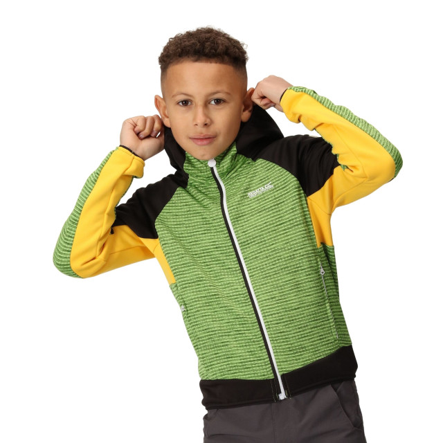 Regatta Kinder/kids prenton ii hooded soft shell jacket UTRG8772_jasminegreenblack large