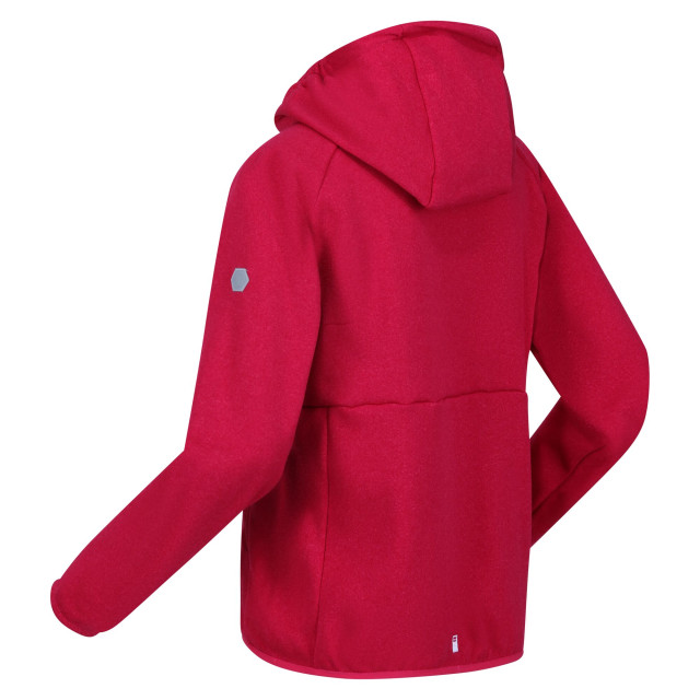 Regatta Maxwell ii lichtgewicht fleecejack voor kinderen/kinderen UTRG8890_pinkpotion large