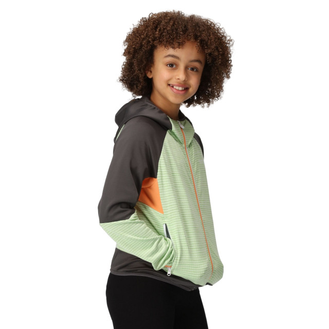 Regatta Kinder/kids prenton ii hooded soft shell jacket UTRG8772_quietgreensealgrey large