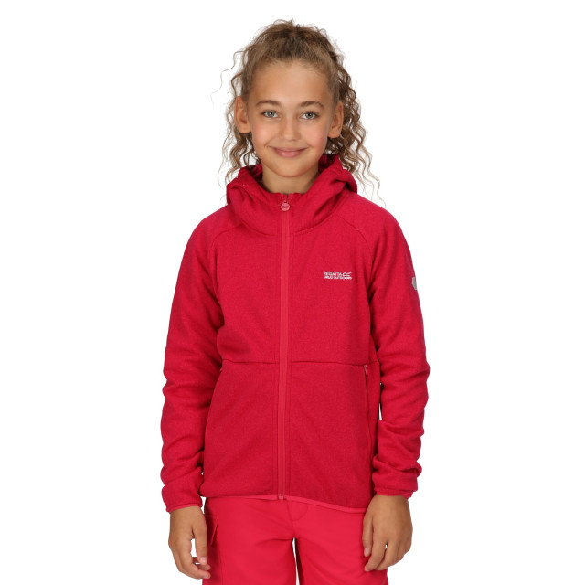 Regatta Maxwell ii lichtgewicht fleecejack voor kinderen/kinderen UTRG8890_pinkpotion large