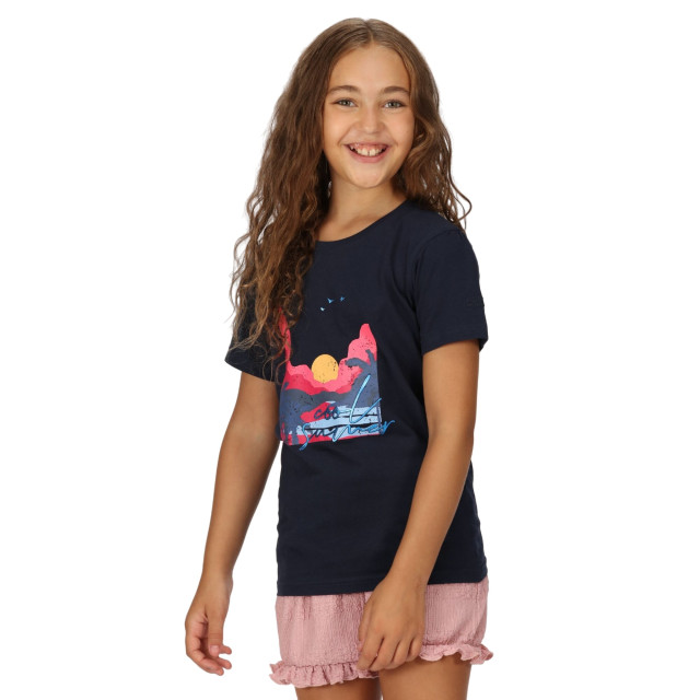 Regatta Kinderen/kinderen bosley vi sunset t-shirt UTRG8763_navy large