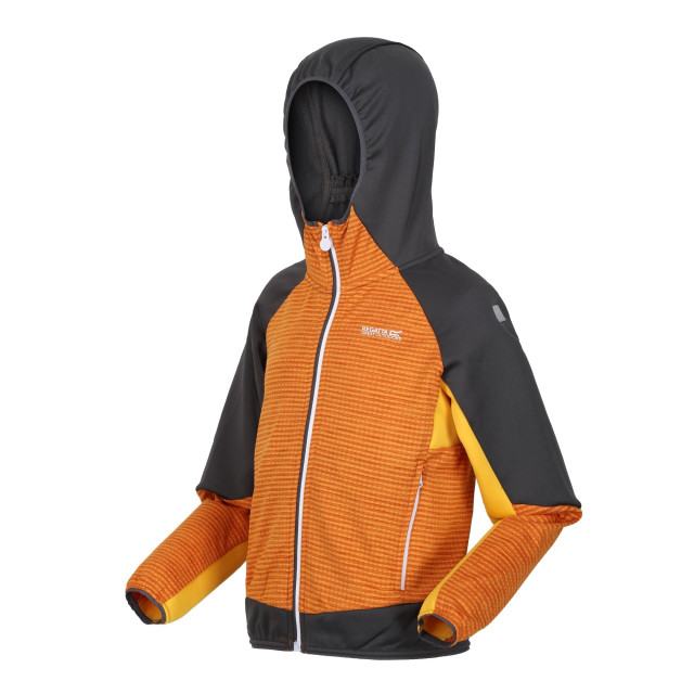 Regatta Kinder/kids prenton ii hooded soft shell jacket UTRG8772_orangepeppersealgrey large