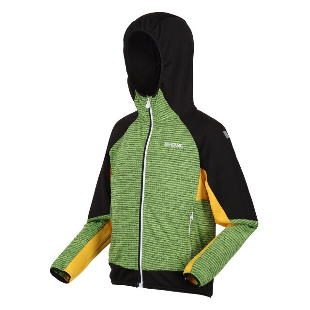 Regatta Kinder/kids prenton ii hooded soft shell jacket UTRG8772_jasminegreenblack large