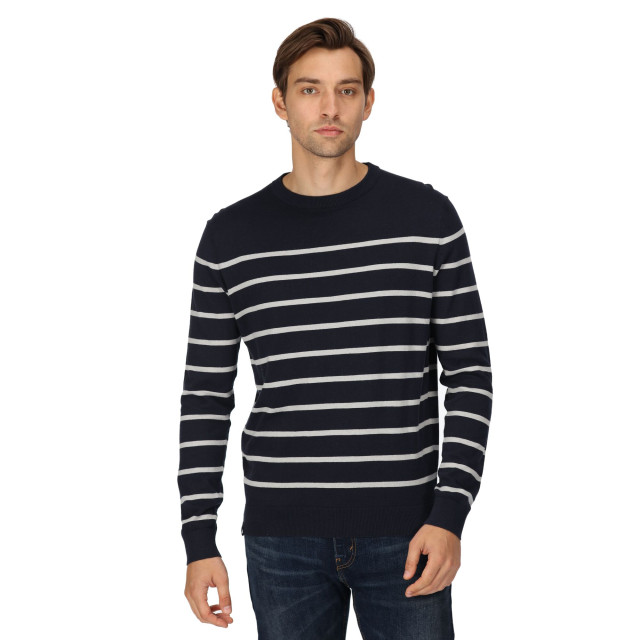 Regatta Heren cautley gestreepte gebreide trui UTRG8856_navysilvergrey large