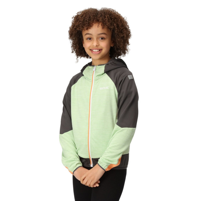 Regatta Kinder/kids prenton ii hooded soft shell jacket UTRG8772_quietgreensealgrey large