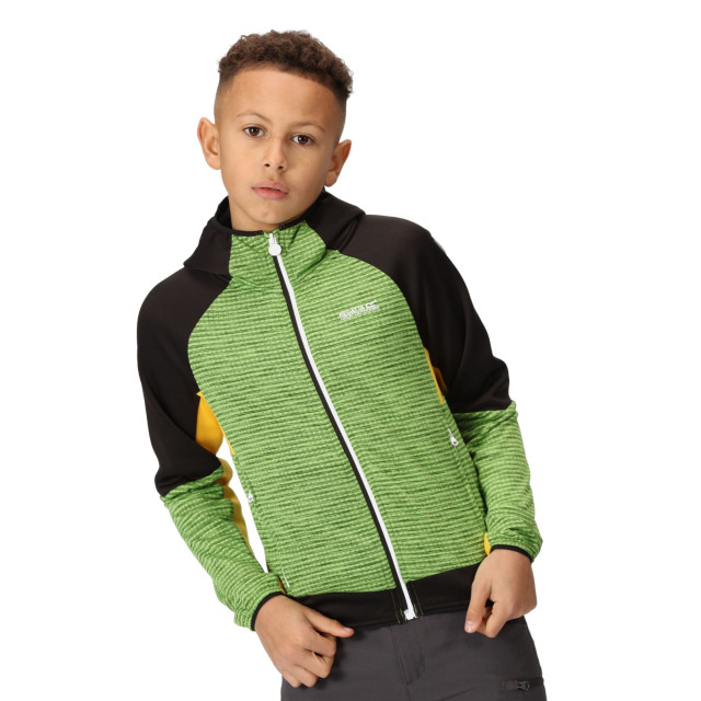 Regatta Kinder/kids prenton ii hooded soft shell jacket UTRG8772_jasminegreenblack large