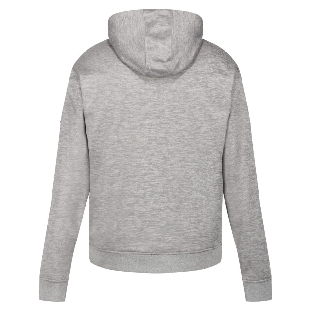 Regatta Heren ortolan marl hoodie UTRG8811_silvergrey large