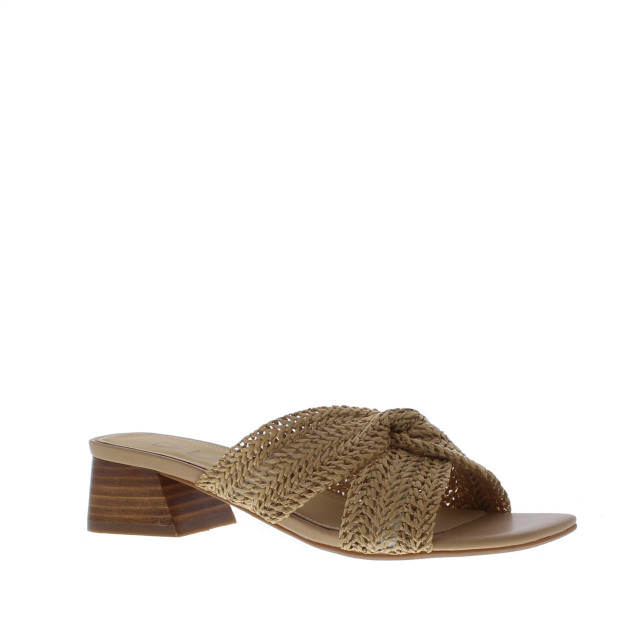 Di Lauro Slipper 109055 109055 large