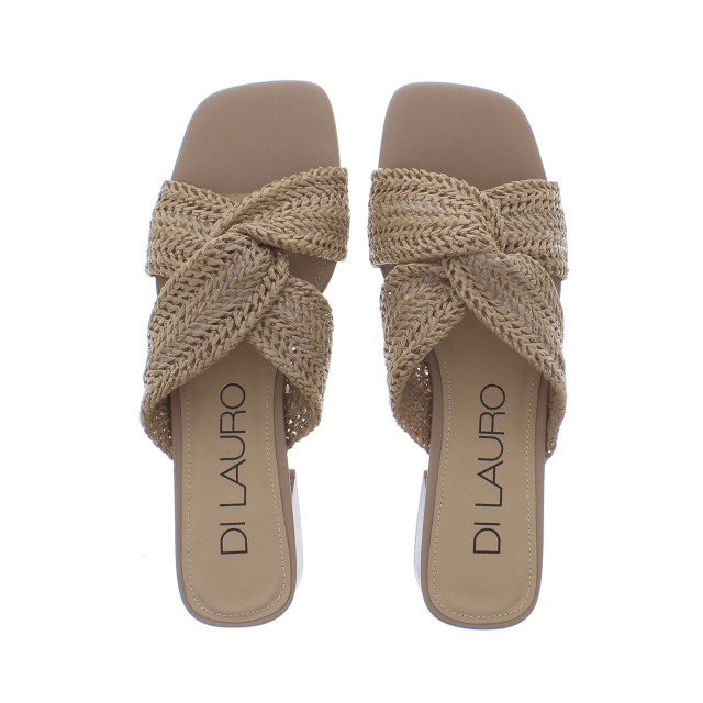 Di Lauro Slipper 109055 109055 large