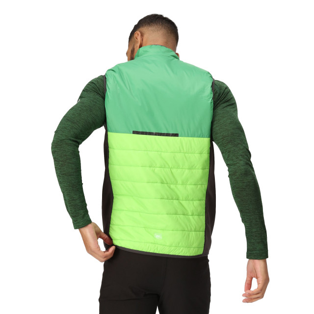 Regatta Heren halton baffled vii colour block gewatteerd gilet UTRG9119_jasminegreenfieldgreen large