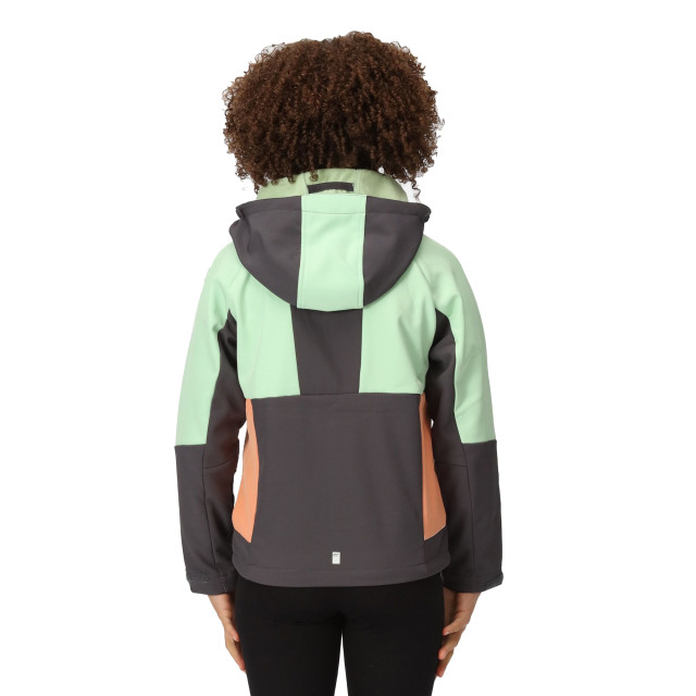 Regatta Kinder/kids haydenbury soft shell jas UTRG9090_sealgreyquietgreen large