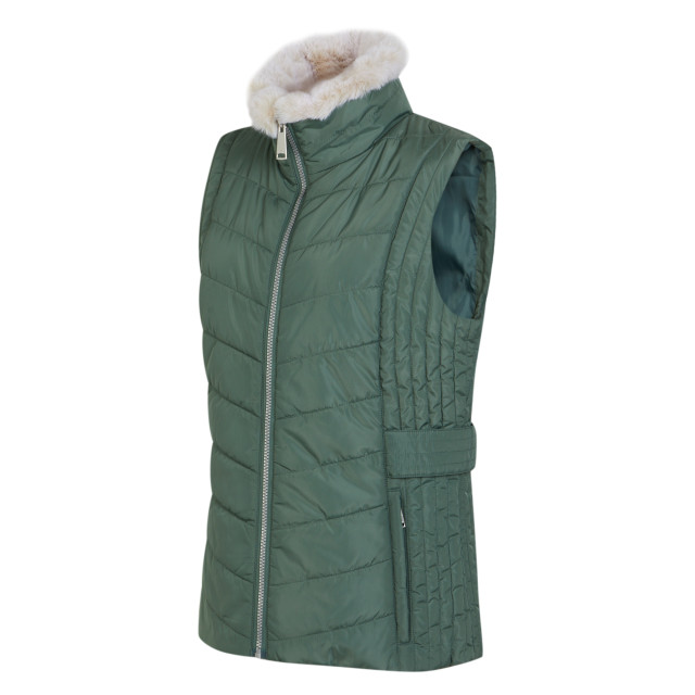 Regatta Dames wildrose baffled gilet UTRG9061_darkforestgreen large