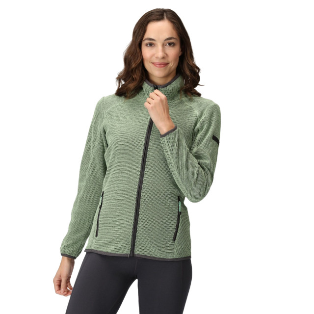 Regatta Dames kinwood full zip fleecejack UTRG9020_quietgreensealgrey large