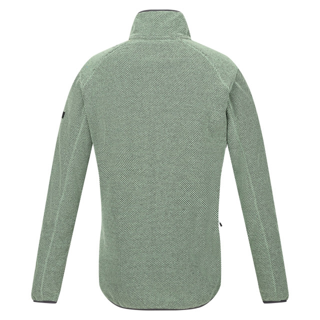 Regatta Dames kinwood full zip fleecejack UTRG9020_quietgreensealgrey large