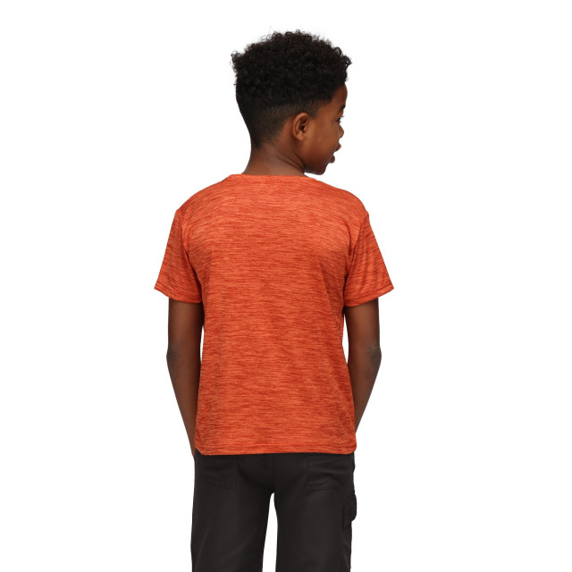 Regatta Kinderen/kinderen fingal editie marl t-shirt UTRG8841_rustyorange large