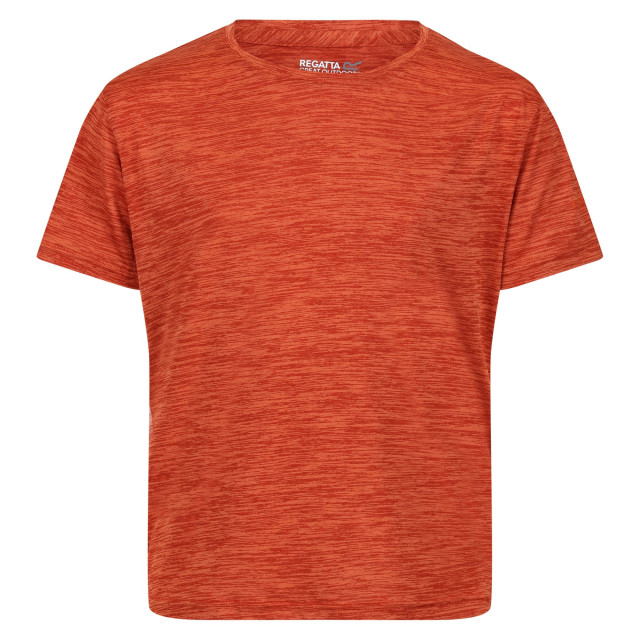 Regatta Kinderen/kinderen fingal editie marl t-shirt UTRG8841_rustyorange large