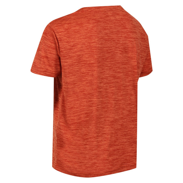 Regatta Kinderen/kinderen fingal editie marl t-shirt UTRG8841_rustyorange large