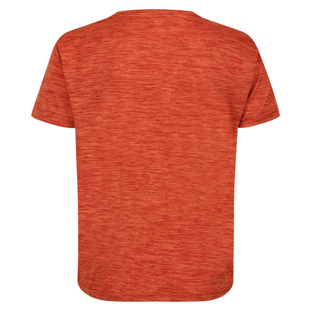 Regatta Kinderen/kinderen fingal editie marl t-shirt UTRG8841_rustyorange large