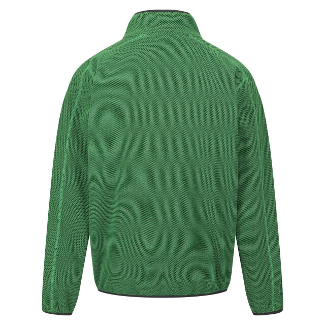 Regatta Heren kinwood full zip fleecejack UTRG8787_fieldgreenjasminegreen large