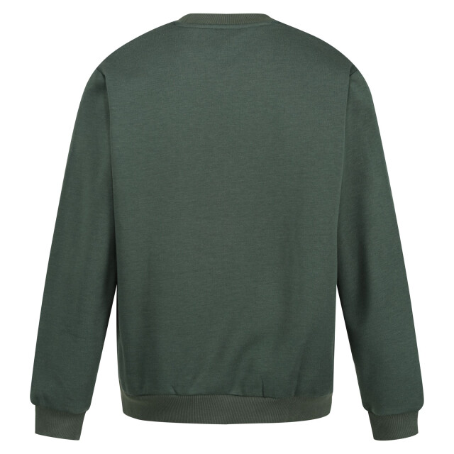 Regatta Heren sweatshirt met ronde hals UTRG9460_darkgreen large