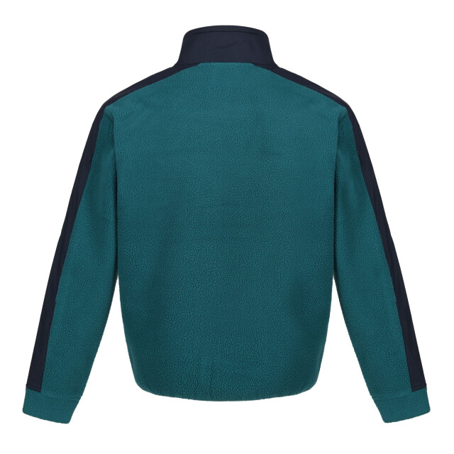 Regatta Heren fleece top UTRG9481_sprucegreennavy large